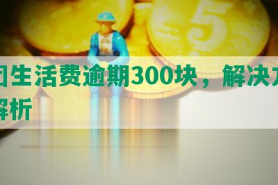 美团生活费逾期300块，解决方法全解析