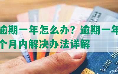 美团逾期一年怎么办？逾期一年后果、一个月内解决办法详解