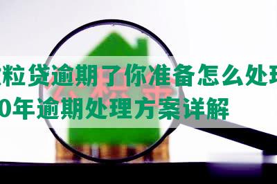 你微粒贷逾期了你准备怎么处理呢:2020年逾期处理方案详解