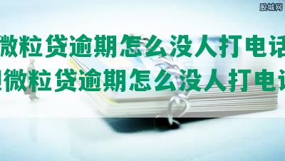 借呗微粒贷逾期怎么没人打电话催收-借呗微粒贷逾期怎么没人打电话催收呢