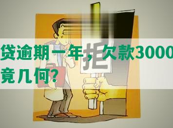 微粒贷逾期一年，欠款3000元利息究竟几何？