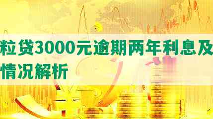 微粒贷3000元逾期两年利息及起诉情况解析