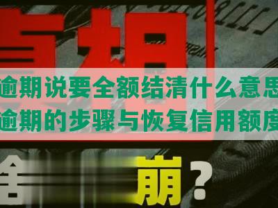 美团逾期说要全额结清什么意思呀？处理逾期的步骤与恢复信用额度指南