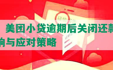 标题：美团小贷逾期后关闭还款通道的影响与应对策略