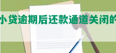 美团小贷逾期后还款通道关闭的影响解析