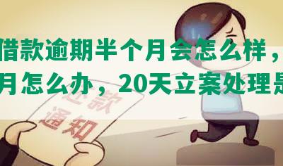 美团借款逾期半个月会怎么样，逾期一个月怎么办，20天立案处理是真的吗