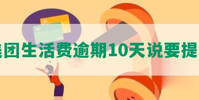 美团生活费逾期10天说要提交