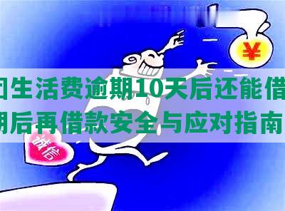 美团生活费逾期10天后还能借吗？逾期后再借款安全与应对指南