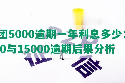 美团5000逾期一年利息多少：4000与15000逾期后果分析