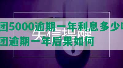 美团5000逾期一年利息多少呢？美团逾期一年后果如何