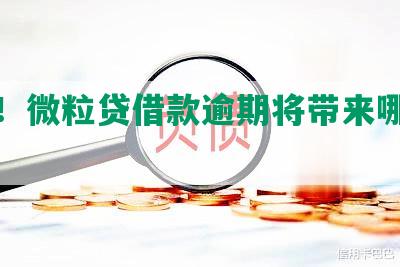 警惕！微粒贷借款逾期将带来哪些后果？