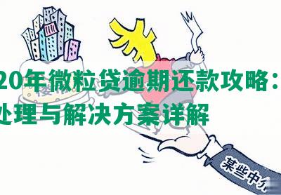 2020年微粒贷逾期还款攻略：逾期处理与解决方案详解