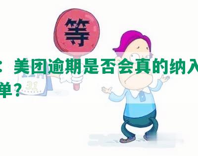 揭秘：美团逾期是否会真的纳入失信人名单？