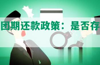 探究美团期还款政策：是否存在利息收取？