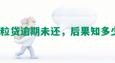 微粒贷逾期未还，后果知多少？