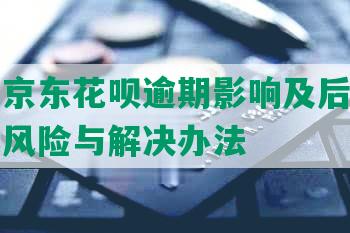 安逸花京东花呗逾期影响及后果，逾期起诉风险与解决办法