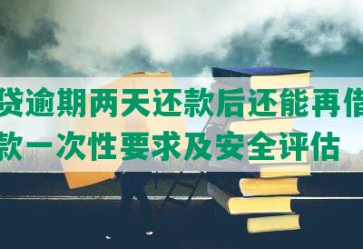 你我贷逾期两天还款后还能再借款吗：尾款一次性要求及安全评估