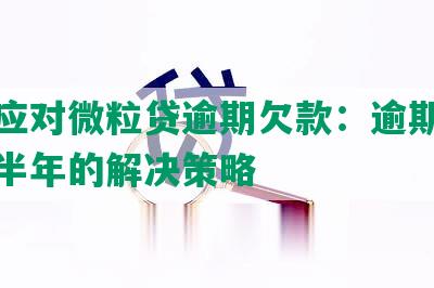 如何应对微粒贷逾期欠款：逾期十万以上半年的解决策略