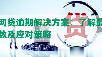 美团网贷逾期解决方案：了解最多逾期天数及应对策略