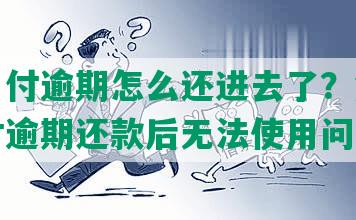 美团月付逾期怎么还进去了？解决美团月付逾期还款后无法使用问题