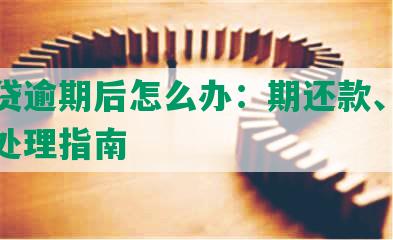 微粒贷逾期后怎么办：期还款、停息挂账处理指南